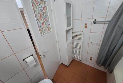 Apartament cu 2 camere decomandat, mobilat în Lujerului - 9