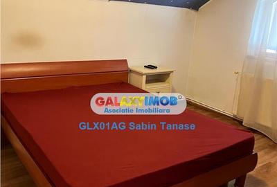 De inchirere vila Stefanesti Lidl ....curte amenajata ter - 3