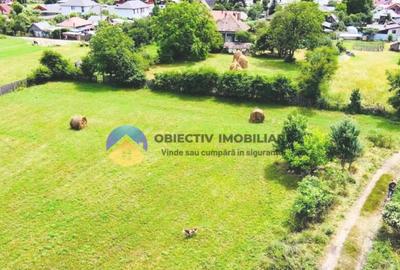 Teren intravilan 1657 mp sat Stejaru, comuna Pangarati Teren intravilan 1657 mp sat Stejaru, comuna Pangarati - 5