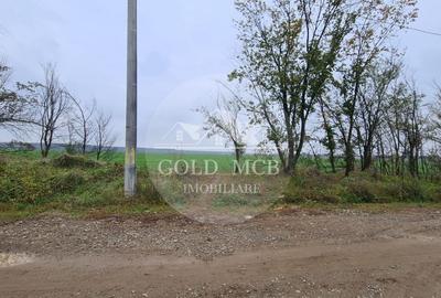 Teren Branesti -Romancierilor - 4