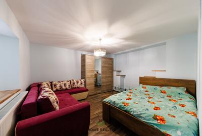 Casă individuală cu 9 camere cu Teren 3763 Mp în Peciu Nou - 13