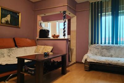 Apartament Studio - Brazda lui Novac - 3