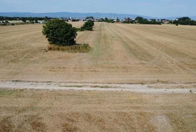 Teren de 10098 mp, în Central - 2