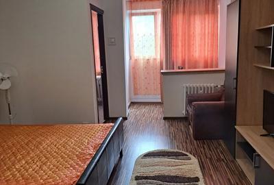 Garsonieră în Brazda lui Novac - 3