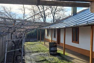Casă cu 4 camere cu Teren 4870 Mp în Viziru - 2