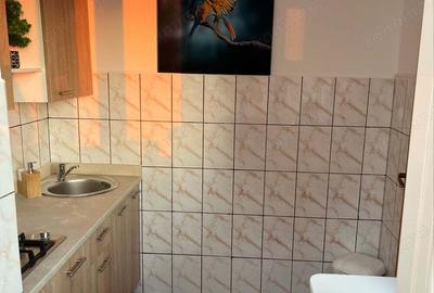 Garsooniera Butterfly - 7