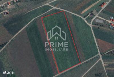 Teren de 6450 mp, în Central