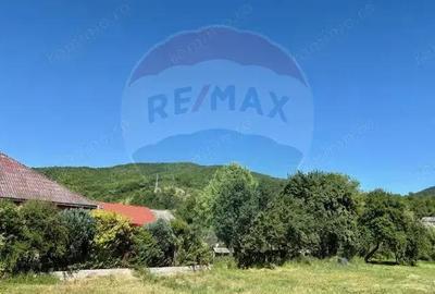 Teren de 3154 mp, în Bârsana - 1