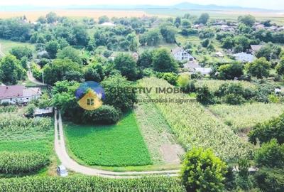 TEREN intravilan GIROV  4133 mp - 5