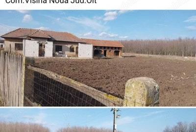 Casă în Vișina - 1