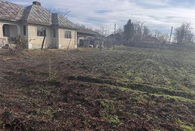 Casă individuală cu 4 camere cu Teren 1550 Mp în Fulga de Jos - 4