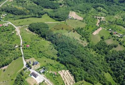 Teren de 12700 mp, în Codru Butesii - 1