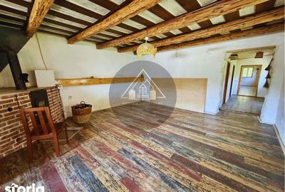 Casă cu 2 camere cu Teren 1414 Mp în Laslea - 17