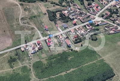 Teren extravilan 2216 mp cu front 12 m acces auto Rusciori Sura Mica - 2