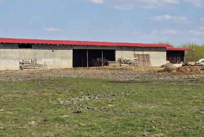 Teren de 60000 mp, în Stoenești - 2