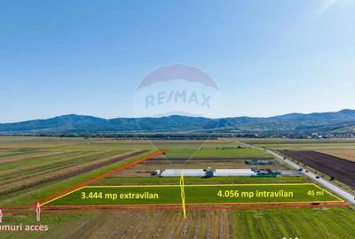 Teren de 7500 mp, în Tărlungeni - 5