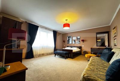 Pensiune perfecta pentru multiple tipuri de activita?i, - 35