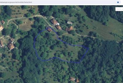 Teren intravilan si cladire in Apuseni, Blajeni, Hd - 7