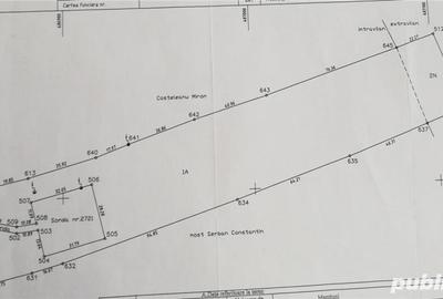 Teren de 11438 mp, în Hințești - 4
