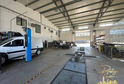 Hala service auto/TIR optional birouri de inchiriat pe str. Ciheiului - 2