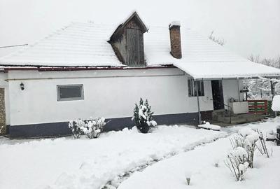 Casa de vanzarea - 2