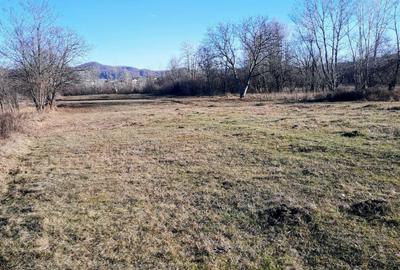 Teren de 5296 mp, în Est - 1