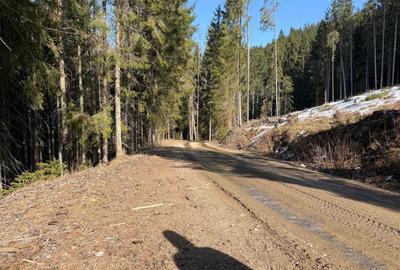 Teren de 10146 mp, în Giurcuța de Sus - 2