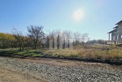 Teren Construcții intravilan de 1001 mp, în Cetate - 1