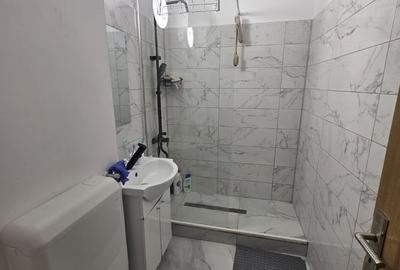 Garsonieră semidecomandată în Dristor - 3