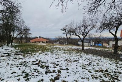 Casă cu 1 camere cu Teren 1317 Mp în Feleacu - 3