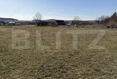 Teren de 5800 mp, în Hereclean - 1