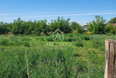 Vanzare teren intravilan 867 mp, Stupini, Brașov - 3