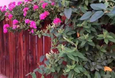 Casă cu 4 camere cu Teren 1000 Mp în Central - 10