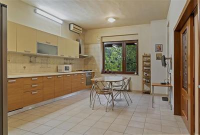 Casă individuală cu 10 camere cu Piscina în Iancu Nicolae - 20