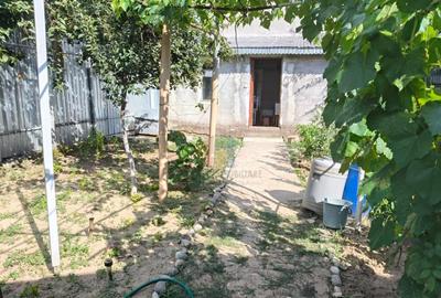 Casa 4 camere, Radu Negru, Teren - 264 mp - 21