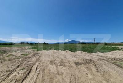 Teren de 6300 mp, în Hălchiu - 3