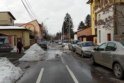 Teren Construcții intravilan de 503 mp, în 1 Mai - 13