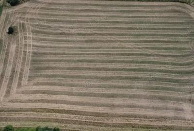 De vanzare teren extravilan Calea Feldioarei, 10.000 mp - 1