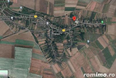 Cota de 5/8 din teren, Cherechiu, Judetul Bihor-id R1985778 - 3