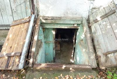 Casă cu Teren 1439 Mp în Brădișoru de Jos - 5