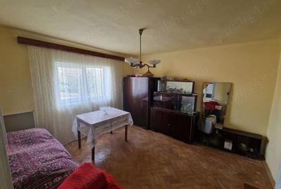 Casa de vanzare - Vadu Cri?ului - 3