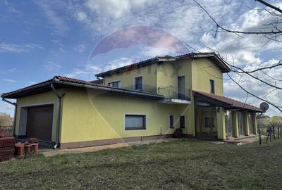 Casa cu teren 4800 mp si multiple posibilitati in Tureni - 2