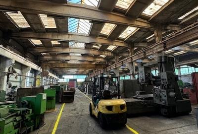 Vanzare/inchiriere 1-3 HALE si 1 cladire BIROURI, zona industriala mun. VASLUI - 3