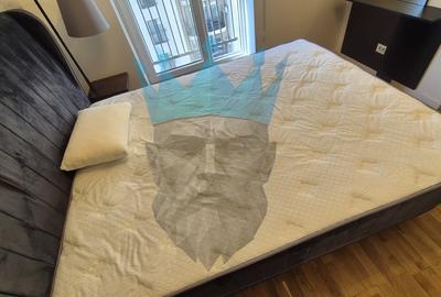 Apartament cu 2 camere semidecomandat, mobilat în Tineretului - 12