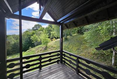 Casa de vacan?a de vanzare in comuna Bradule?, sat Bradetu, jude? Arge?. - 6