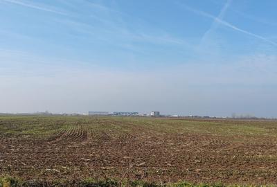 Teren agricol extravilan de 7100 mp, în Nojorid