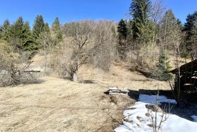 Casă cu 3 camere cu Teren 3300 Mp în Arieșeni - 1