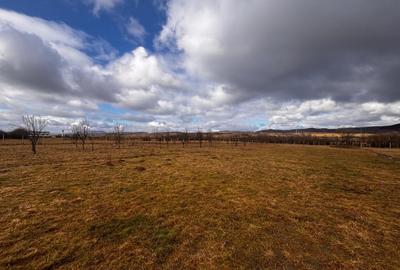 Casă individuală cu 5 camere cu Teren 7000 Mp în Exterior Nord - 18