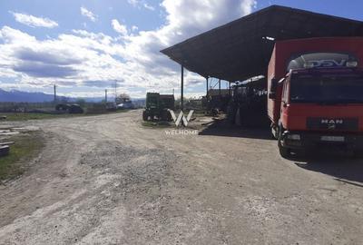 Spatiu industrial-baza depozitare cu cale ferata-Arpasu de Jos - Sibiu - 10
