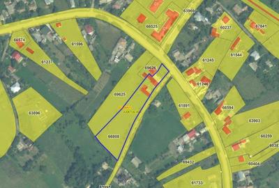 Casă individuală cu 4 camere cu Teren 4239 Mp în Bădeni - 18